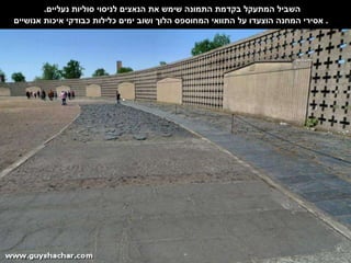 השביל המתעקל בקדמת התמונה שימש את הנאצים לניסוי סוליות נעליים .  אסירי המחנה הוצעדו על התוואי המחוספס הלוך ושוב ימים כלילות כבודקי איכות אנושיים .  