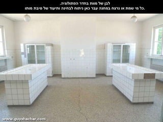 לבן של מוות בחדר הפתולוגיה . כל מי שמת או נרצח במחנה עבר כאן ניתוח לבחינה ותיעוד של סיבת מותו . 