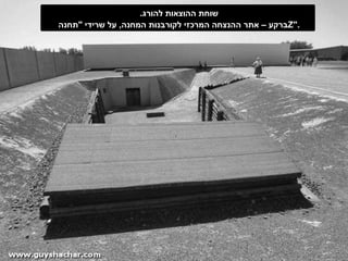 שוחת ההוצאות להורג .  ברקע – אתר ההנצחה המרכזי לקורבנות המחנה ,  על שרידי  " תחנה  Z ". 