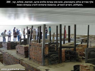 200  אלף אסירים נכלאו בזקסנהאוזן ,  מהם מתו עשרות אלפים מרעב ,  תשישות ,  מחלות ,  קור ,  התעללות ,  ניסויים רפואיים ,  ובהוצאות שיטתיות להורג ובצעדות המוות . 