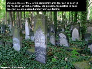 Still,  remnants  of the Jewish community grandeur can be seen in  the “second” Jewish cemetery. Old gravestones nestled in thick  greenery  create a sacred and mysterious feeling.  