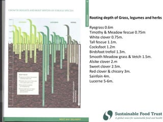 Rooting depth of Grass, legumes and herbs
Ryegrass 0.6m
Timothy & Meadow fescue 0.75m
White clover 0.75m.
Tall fescue 1.1m.
Cocksfoot 1.2m
Birdsfoot trefoil 1.3m.
Smooth Meadow grass & Vetch 1.5m.
Alsike clover 2.m
Sweet clover 2.5m.
Red clover & chicory 3m.
Sainfoin 4m.
Lucerne 5-6m.
 