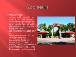 

Mit rund 1.400
unterschiedlichen Arten und
zehn mal so vielen einzelnen
Tieren ist der Berliner Zoo der
artenreichste Zoo weltweit!
Von Bürstenschwanzrattenkänguruhs über
Schmalstreifenmungos bis hin
zu
Weißgesichtsseidenäffchen
lassen sich hier die
exotischsten Tierarten
entdecken. Vor allem im
Frühling lohnt sich ein Besuch,
da in dieser Zeit jede Menge
Tierbabys zu bestaunen sind.

 
