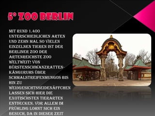 Mit rund 1.400
unterschiedlichen Arten
und zehn mal so vielen
einzelnen Tieren ist der
Berliner Zoo der
artenreichste Zoo
weltweit! Von
Bürstenschwanzrattenkänguruhs über
Schmalstreifenmungos bis
hin zu
Weißgesichtsseidenäffchen
lassen sich hier die
exotischsten Tierarten
entdecken. Vor allem im
Frühling lohnt sich ein
Besuch, da in dieser Zeit

 