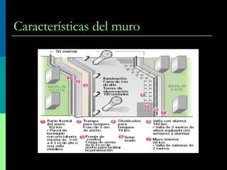 Características del muro 