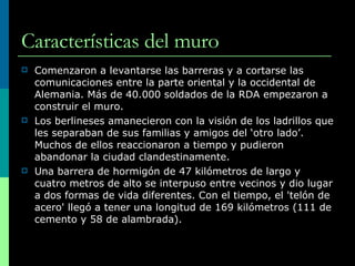 Características del muro C omenzaron a levantarse las barreras y a cortarse las comunicaciones entre la parte oriental y la occidental de Alemania. Más de 40.000 soldados de la RDA empezaron a construir el muro.  Los berlineses amanecieron con la visión de los ladrillos que les separaban de sus familias y amigos del ‘otro lado’. Muchos de ellos reaccionaron a tiempo y pudieron abandonar la ciudad clandestinamente . Una barrera de hormigón de 47 kilómetros de largo y cuatro metros de alto se interpuso entre vecinos y dio lugar a dos formas de vida diferentes. Con el tiempo, el 'telón de acero' llegó a tener una longitud de 169 kilómetros (111 de cemento y 58 de alambrada). 