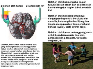 Belahan otak kiri mengatur bagian tubuh sebelah kanan dan belahan otak kanan mengatur bagian tubuh sebelah kiri. Belahan otak kiri pada umumnya sangat penting untuk  berbicara dan menulis, keterampilan berhitung dan ilmiah, menggunakan dan memahami bahasa isyarat, serta pikiran logis. Belahan otak kanan bertanggung jawab untuk kesadaran musik dan seni, persepsi ruang dan pola, wawasan, imajinasi, dll.  Gerakan, merekatkan kedua belahan otak yang memungkinkan anak menggunakan kedua belahan otak untuk menyampaikan informasi antara belahan otak kanan dan kiri. Alasan inilah yang menyebabkan anak usia dini harus bergerak untuk bisa belajar. Mereka bisa memperhatikan dan belajar jika mereka bebas untuk bergerak; duduk diam merupakan tekanan dan menghambat kemampuan mereka untuk menyerap seluruh informasi baru. Belahan otak kiri Belahan otak kanan 