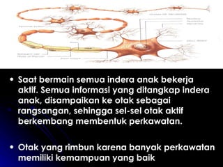 Saat bermain semua indera anak bekerja aktif. Semua informasi yang ditangkap indera anak, disampaikan ke otak sebagai rangsangan, sehingga sel-sel otak aktif berkembang membentuk perkawatan. Otak yang rimbun karena banyak perkawatan memiliki kemampuan yang baik 