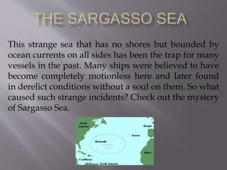 This strange sea that has no shores but bounded by
ocean currents on all sides has been the trap for many
vessels in the past. Many ships were believed to have
become completely motionless here and later found
in derelict conditions without a soul on them. So what
caused such strange incidents? Check out the mystery
of Sargasso Sea.
 