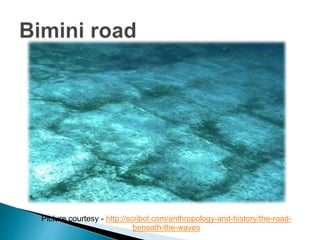 Picture courtesy - http://scribol.com/anthropology-and-history/the-road-
beneath-the-waves
 