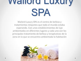 Wailord Luxury
SPA
Wailord Luxury SPA es el centro de belleza y
tratamientos relajantes que todo el mundo estaba
esperando. Con unos establecimientos de lujo
ambientados en diferentes lugares y cada uno con los
principales tratamiento de belleza y terapéuticos de la
zona en la que se encuentra ambientada la habitación
 
