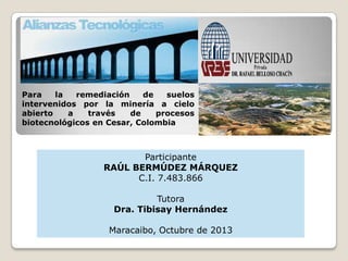 Para
la
remediación
de
suelos
intervenidos por la minería a cielo
abierto
a
través
de
procesos
biotecnológicos en Cesar, Colombia

Participante
RAÚL BERMÚDEZ MÁRQUEZ
C.I. 7.483.866
Tutora
Dra. Tibisay Hernández
Maracaibo, Octubre de 2013

 