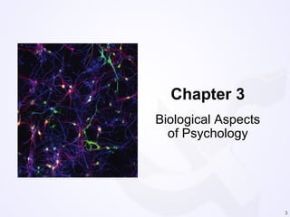 3
Chapter 3
Biological Aspects
of Psychology
 