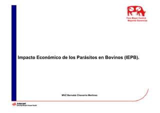 Foro Mayor Control
                                                     Mayores Ganancias




Impacto Económico de los Parásitos en Bovinos (IEPB).




                   MVZ Bernabé Chavarría Martínez
 