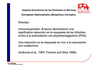 Impacto Económico de los Parásitos en Bovinos.   Foro Mayor Control
                                                     Mayores Ganancias
  Garrapatas Riphicephalus (Boophilus) microplus.


Directas:

Inmunosupresión: B tauros demostraron una
significativa reducción en la respuesta de los linfocitos
invitro a la estimulación con phytohemagglutinin (PHA)

Una reducción en la respuesta en vivo a la vacunación
con ovalbumina.

(Inokuma et al., 1997; Ferreira and Silva.1998).
 