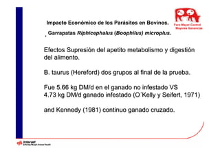 Impacto Económico de los Parásitos en Bovinos.      Foro Mayor Control
                                                     Mayores Ganancias

, Garrapatas Riphicephalus (Boophilus) microplus.


Efectos Supresión del apetito metabolismo y digestión
del alimento.

B. taurus (Hereford) dos grupos al final de la prueba.

Fue 5.66 kg DM/d en el ganado no infestado VS
4.73 kg DM/d ganado infestado (O´Kelly y Seifert, 1971)

and Kennedy (1981) continuo ganado cruzado.
 