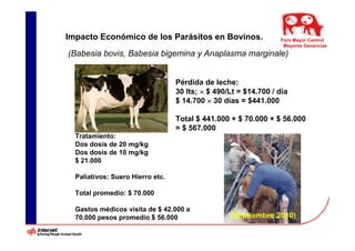 Impacto Económico de los Parásitos en Bovinos.                   Foro Mayor Control
                                                                  Mayores Ganancias
(Babesia bovis, Babesia bigemina y Anaplasma marginale)


                                  Pérdida de leche:
                                  30 lts; × $ 490/Lt = $14.700 / día
                                  $ 14.700 × 30 días = $441.000

                                  Total $ 441.000 + $ 70.000 + $ 56.000
                                  = $ 567.000
  Tratamiento:
  Dos dosis de 20 mg/kg
  Dos dosis de 10 mg/kg
  $ 21.000

  Paliativos: Suero Hierro etc.

  Total promedio: $ 70.000

  Gastos médicos visita de $ 42.000 a
  70.000 pesos promedio $ 56.000                  (Septiembre 2010)
 