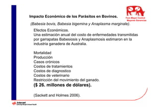 Impacto Económico de los Parásitos en Bovinos.        Foro Mayor Control
                                                       Mayores Ganancias
(Babesia bovis, Babesia bigemina y Anaplasma marginale).
  Efectos Económicos.
  Una estimación anual del costo de enfermedades transmitidas
  por garrapatas Babesiosis y Anaplasmosis estimaron en la
  industria ganadera de Australia.

  Mortalidad
  Producción
  Casos crónicos
  Costos de tratamientos
  Costos de diagnostico
  Costos de veterinario
  Restricción del movimiento del ganado.
  ($ 26. millones de dólares).

  (Sackett and Holmes 2006).
 