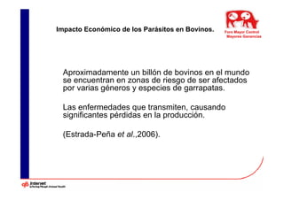 Impacto Económico de los Parásitos en Bovinos.   Foro Mayor Control
                                                  Mayores Ganancias




 Aproximadamente un billón de bovinos en el mundo
 se encuentran en zonas de riesgo de ser afectados
 por varias géneros y especies de garrapatas.

 Las enfermedades que transmiten, causando
 significantes pérdidas en la producción.

 (Estrada-Peña et al.,2006).
 