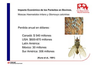Impacto Económico de los Parásitos en Bovinos.     Foro Mayor Control
                                                    Mayores Ganancias
Moscas Haematobia irritans y Stomoxys calcintras




Perdida anual en dólares:

   Canadá: $ 540 millones
   USA: $600-870 millones
   Latín América:
   México: 30 millones
   Sur América: 306 millones

                  (Kunz et al., 1991)
 