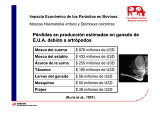 Impacto Económico de los Parásitos en Bovinos.     Foro Mayor Control
                                                    Mayores Ganancias
Moscas Haematobia irritans y Stomoxys calcintras

 Pérdidas en producción estimadas en ganado de
 E.U.A. debido a artrópodos

   Mosca del cuerno       $ 876 millones de USD
   Mosca del establo      $ 432 millones de USD
   Ácaros de la sarna     $ 259 millones de USD
   Tábanos                $ 190 millones de USD
   Larvas del ganado      $ 56 millones de USD
   Mosquitos              $ 50 millones de USD
   Piojos                 $ 38 millones de USD

                    (Kunz et al., 1991)
 
