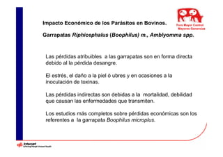 Impacto Económico de los Parásitos en Bovinos.              Foro Mayor Control
                                                             Mayores Ganancias

Garrapatas Riphicephalus (Boophilus) m., Amblyomma spp.



 Las pérdidas atribuibles a las garrapatas son en forma directa
 debido al la pérdida desangre.

 El estrés, el daño a la piel ò ubres y en ocasiones a la
 inoculación de toxinas.

 Las pérdidas indirectas son debidas a la mortalidad, debilidad
 que causan las enfermedades que transmiten.

 Los estudios más completos sobre pérdidas económicas son los
 referentes a la garrapata Boophilus microplus.
 