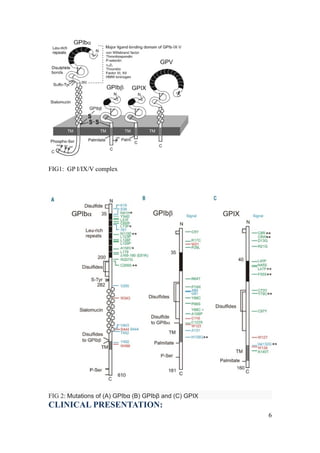 FIG1: GP I/IX/V complex




FIG 2: Mutations of (A) GPIbα (B) GPIbβ and (C) GPIX
CLINICAL PRESENTATION:
                                                       6
 