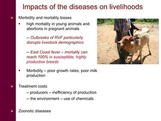 The challenge of climate-related infectious livestock diseases in undermining social entrepreneurship development for rural communities