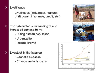 The challenge of climate-related infectious livestock diseases in undermining social entrepreneurship development for rural communities