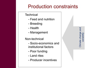 The challenge of climate-related infectious livestock diseases in undermining social entrepreneurship development for rural communities