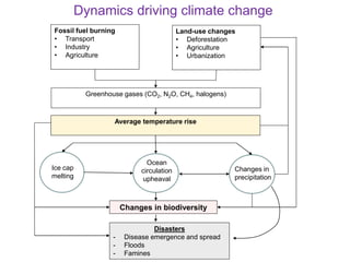 The challenge of climate-related infectious livestock diseases in undermining social entrepreneurship development for rural communities