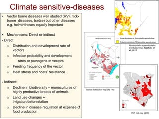 The challenge of climate-related infectious livestock diseases in undermining social entrepreneurship development for rural communities