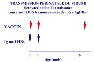 TRANSMISSION PERINATALE DU VIRUS B Sérovaccination à la naissance concerne TOUS les nouveau-nés de mère AgHBs+ VACCIN Ig anti HBs 0 1 6 âge (mois) 