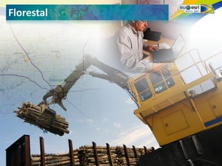 Seu logo aqui!
Florestal
 