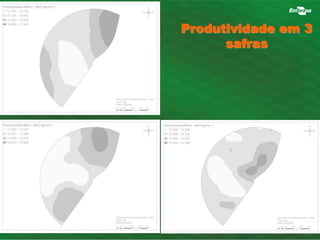 Produtividade em 3 
safras 
 