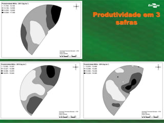 Produtividade em 3 
safras 
 