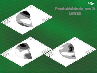 Produtividade em 3 
safras 
 