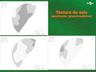 Textura do solo 
(analisador granulométrico) 
 