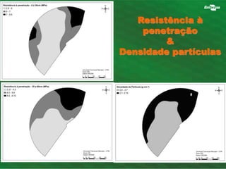 Resistência à 
penetração 
& 
Densidade partículas 
 