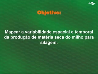 Objetivo: 
Mapear a variabilidade espacial e temporal 
da produção de matéria seca do milho para 
silagem. 
 