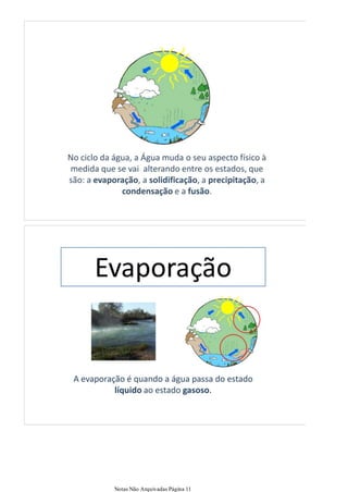 Notas Não Arquivadas Página 11
 