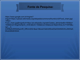 https://www.google.com.br/imgres?
imgurl=https://upload.wikimedia.org/wikipedia/commons/thumb/c/c0/Food_chain.jpg/
190px-
Food_chain.jpg&imgrefurl=https://pt.wikipedia.org/wiki/Cadeia_alimentar&h=550&w=
190&tbnid=XEgDAZ5jOX_5VM:&tbnh=160&tbnw=55&docid=8q0mWwLXxTYSFM&u
sg=__k-
lz3D6p5n5W0sNqJmR_DfKmnDQ=&sa=X&ved=0ahUKEwiZ3er03rbNAhXIvJAKHeA
8AzkQ9QEIIDAA
Fonte de Pesquisa:
 