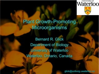 Plant Growth-PromotingPlant Growth-Promoting
MicroorganismsMicroorganisms
Bernard R. GlickBernard R. Glick
Department of BiologyDepartment of Biology
University of WaterlooUniversity of Waterloo
Waterloo, Ontario, CanadaWaterloo, Ontario, Canada
glick@sciborg.uwaterloo.caglick@sciborg.uwaterloo.ca
 