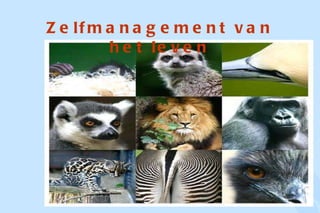 Zelfmanagement van het leven 