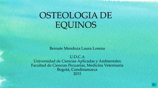 OSTEOLOGIA DE
EQUINOS
Bernate Mendoza Laura Lorena
U.D.C.A
Universidad de Ciencias Aplicadas y Ambientales
Facultad de Ciencias Pecuarias, Medicina Veterinaria
Bogotá, Cundinamarca
2015
 