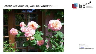 CC-by-Lizenz,
Autor: Bernd Schmid
für isb-w.eu
Systemische Professionalität 2013
Nicht wie erblüht, wie sie verblüht......
 