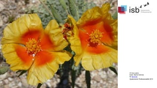 CC-by-Lizenz,
Autor: Bernd Schmid
für isb-w.eu
Systemische Professionalität 2013
 