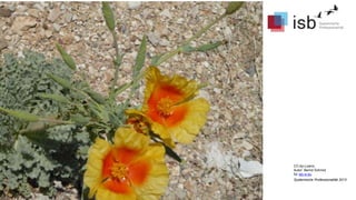 CC-by-Lizenz,
Autor: Bernd Schmid
für isb-w.eu
Systemische Professionalität 2013
 