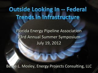 Florida Energy Pipeline Association
      23rd Annual Summer Symposium
                July 19, 2012




Berne L. Mosley, Energy Projects Consulting, LLC
 