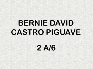 BERNIE DAVID
CASTRO PIGUAVE

     2 A/6
 